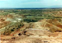 Photograph of the Devil's Backbone, refer to Acknowledgements#33