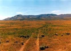 Bridger Trail Segment FR 717, Looking West, Acknowledgements #33