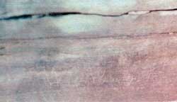 Recent photograph of the W.D. Walden Inscription, Acknowledgements #26