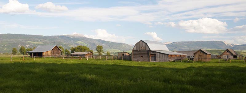 Mormon row, Andy Chambers Ranch 