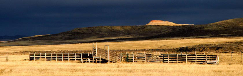 Loading Pens Johnson County