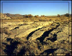 Oregon Trail Ruts near Split Rock 